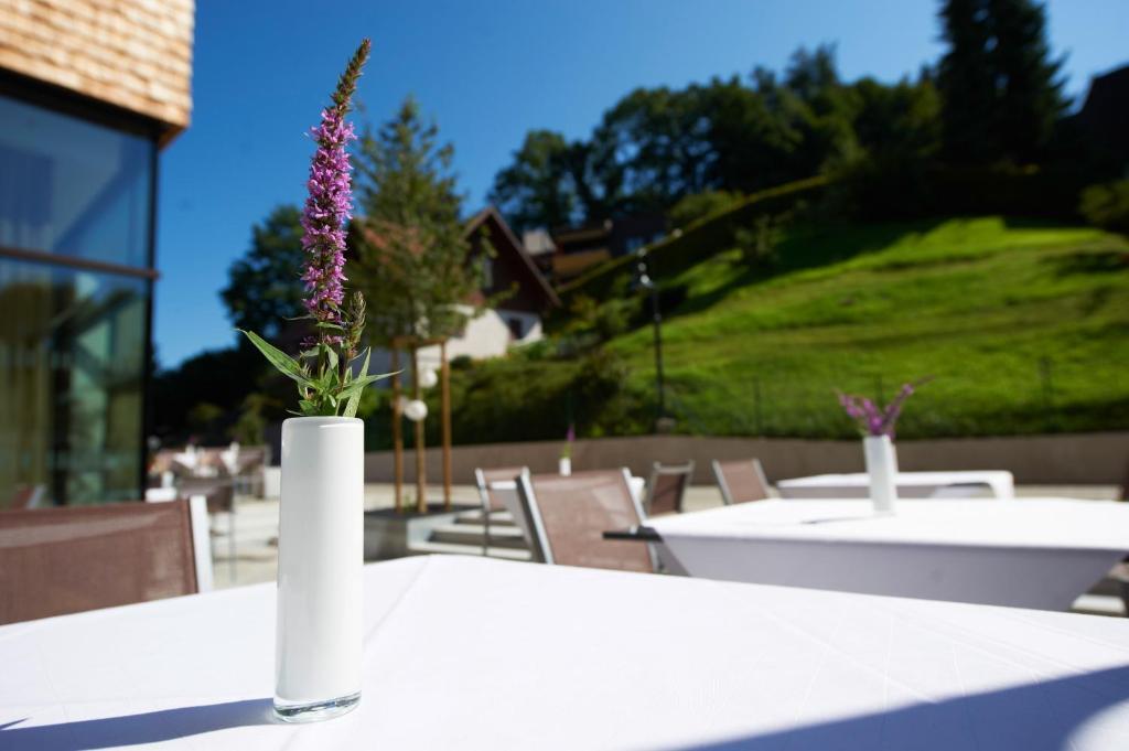 Sternen Hotel 4*